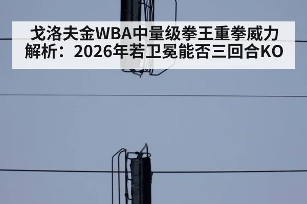 戈洛夫金WBA中量级拳王重拳威力解析：2026年若卫冕能否三回合KO