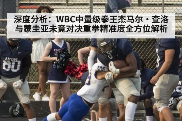 深度分析：WBC中量级拳王杰马尔·查洛与蒙圭亚未竟对决重拳精准度全方位解析